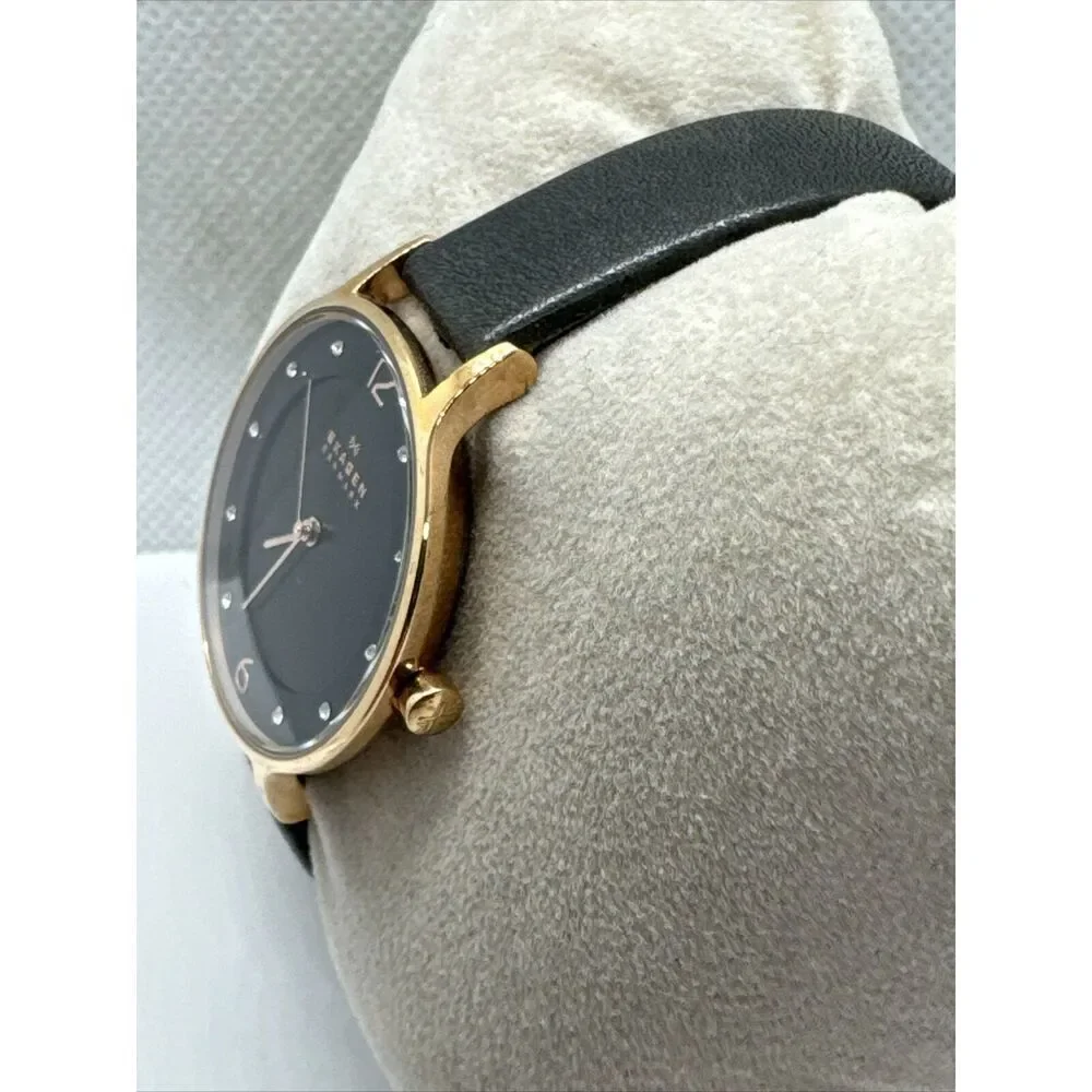 Skagen Anita Lille SKW2267 Women Charcoal Leather Analog Dial Wrist Watch JNA920